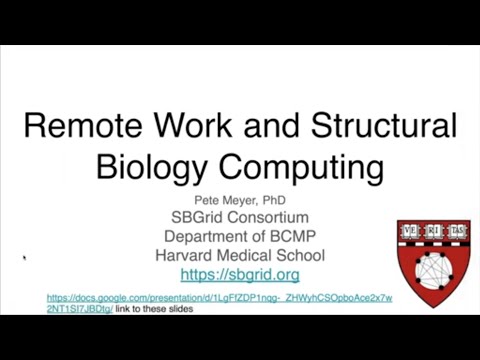 Remote work and structural biology computing 