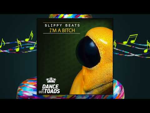 Slippy Beats - I´m a Bitch