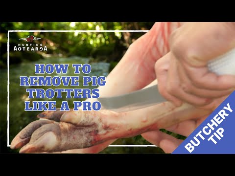 How to remove Pig Trotters - Hunting Aotearoa Tip - Part 4