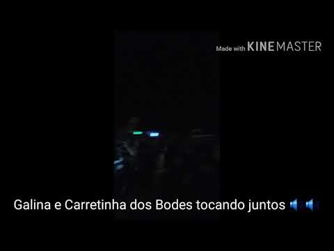 Carretinha dos Bodes(Laranja Som) e Carretinha do Galina Sound