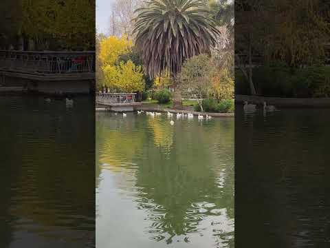 El Parque Quinta Normal de Santiago de Chile. Mayo 2024.
