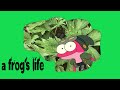 A Frog S Life Trailer Shakepage Style