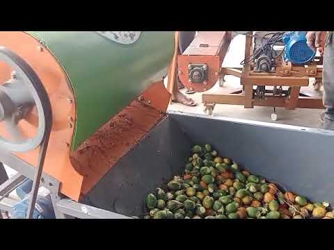 Single phase arecanut debunking machines, automation grade: ...