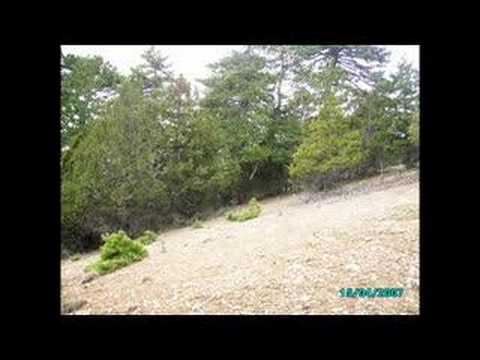 keçiborlu kavak köyü