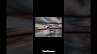 Download lagu Ocean blue eyes 🌊 looking in mine~|gocha edit| mp3