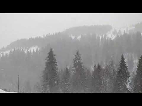 Fața Cristesei - Munții Apuseni (ianuarie 2022)