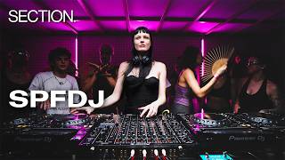 spfdj-section-2025-11-20