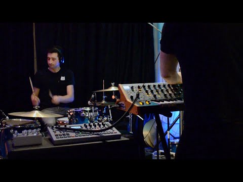 Drum & synth jam w/ Elektron Analog Four MkII, Moog Subsequent 37, Empress Reverb