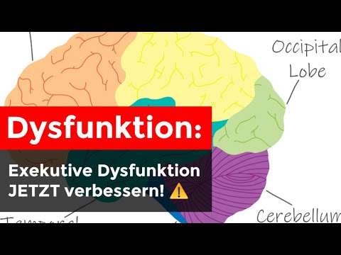 Exekutive Dysfunktion bei Autismus, ADHS oder Borderline
