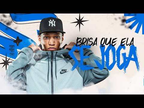 BRISADA QUE ELA SE JOGA - Yuri Redicopa (DJ CZ, WBOY)