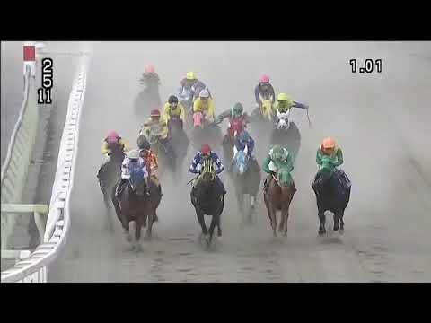 2018.12.31 Tokyo Nisai Yushun Himba (JPN) - Arc Vigorous