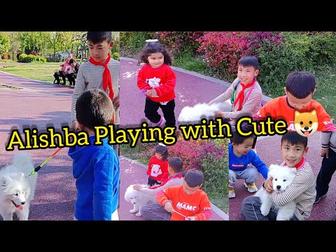 Cute Dogs in China | Alishba Playing with Chinese Kid's | Life in China | Chinese Smart Dogs | 上海 🇨🇳