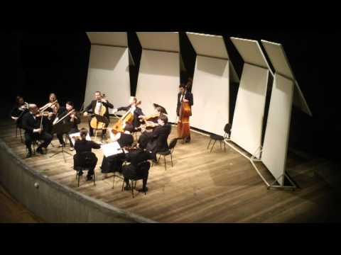 Edward Elgar - Serenade for Strings op.20 - mi minor - Hanover Chamber Orchestra - leader A.Kostecki