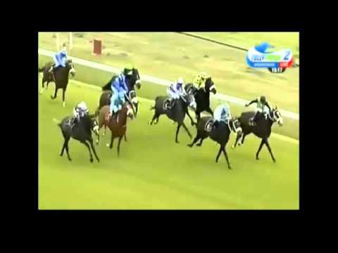 Captain America wins the Green Point Stakes 2015