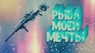 CS:GO | WARFACE | СМЕШНЫЕ МОМЕНТЫ & БАГИ | КЛАТЧИ & ЭЙСЫ