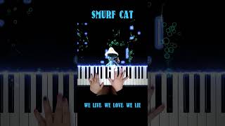 Smurf Cat on Piano #SmurfCat #TheSpectre #PianellaPianoShorts