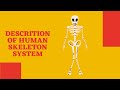 SHORTSSTRUCTURE OF HUMAN SKELETON SYSTEM BIOLOGY Science ANIMATION VIEW