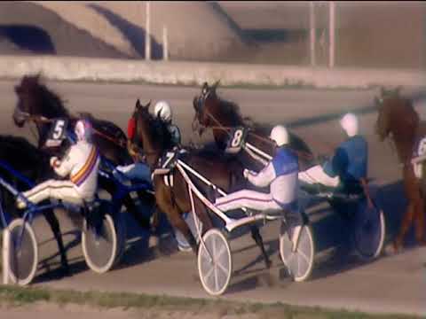 Trotto 18/12/2018 - 2ª corsa