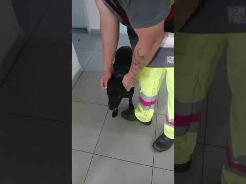 Vídeo de AJUDE A ENCONTRAR MINHA FAMÍLIA 