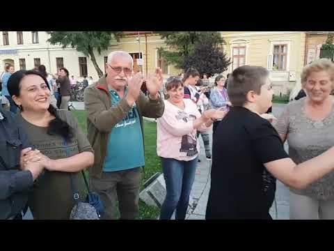 Zilele Aradului 2017 ,  Mirabela  Dauer