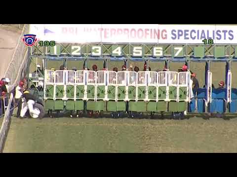 RM19 R5 - Disco Al | D.Stackhouse