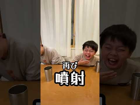 動物のお腹の大きさは何で決まるのでしょうか?