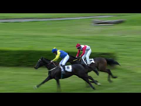 22. 5. 2021 - 3. dostih - Cena Jockey Clubu ČR