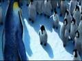 Happy Feet Day At School Danish