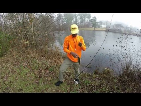 Free For All Fishing Tournament Ft Bryan Lee Bass