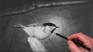 How To Use Artistic License To Focus Light In Graphite Drawings