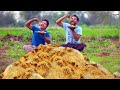 Kashmiri Chicken Biryani World Famous Chicken Biryani Recipe Grandpa Kitchen