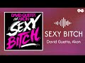 David Guetta (Feat. Akon) - Sexy B*tch (Lyrics)