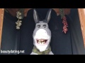 I Made Shrek S Donkey Burst Into Laughter Universal Studios Hollywood