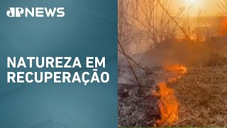 Miniatura do vídeo