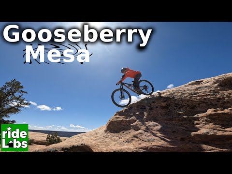 Gooseberry Mesa