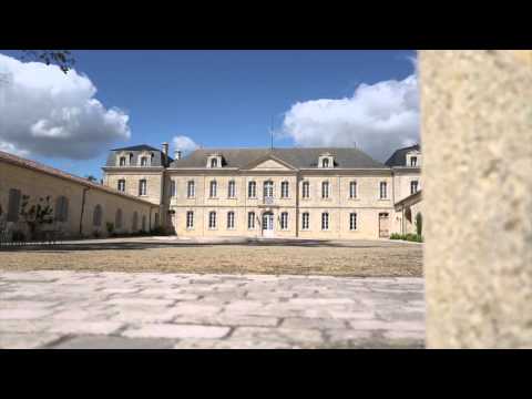 Saint Emilion wine tour Bordovino