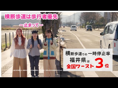 横断歩道は歩行者優先　～止まって～