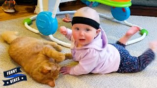 Naughty Babies Are Funny Enemies Of Cats || Funny Vines