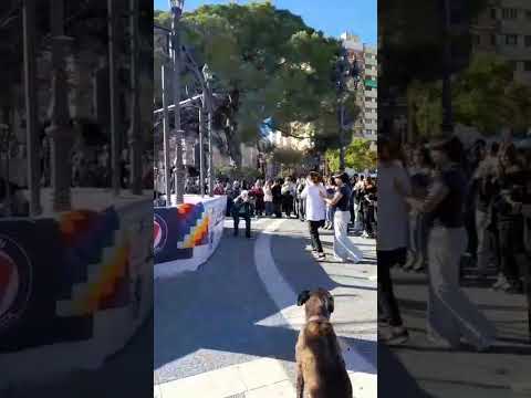 MALAPRAXIS - S.R.H.C (En vivo plaza San Martín)