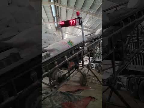 Linhdragon - cực kỳ chính xác