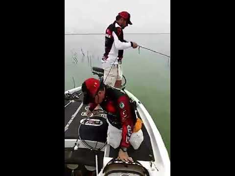 impresionante captura