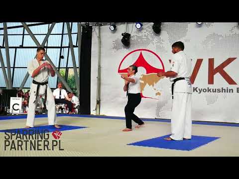 Mykhailo Drahan vs Simion Robert 1/2 Final man -70kg The 6th WKB European Kyokushin Championships