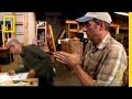 Dinosaur Body Building National Geographic