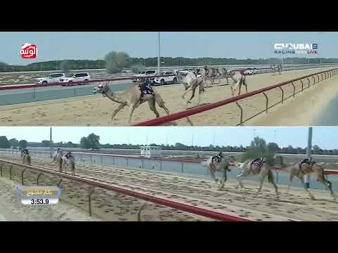  ش 9 (صدى) لـ هجن الشحانية 9:05:3  , تأهيل المرموم 2026/03/05 ايذاع 