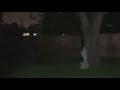 Shadow Figure Sensed By The Family Dog And Caught On Camera