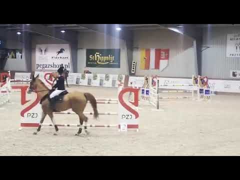 Colombina (Action Breaker x Colandro) 2020/03/13 HZO Leszno - 120cm I SPRZEDANA / SOLD