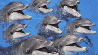 Tangerine Dream - Dolphin Dance