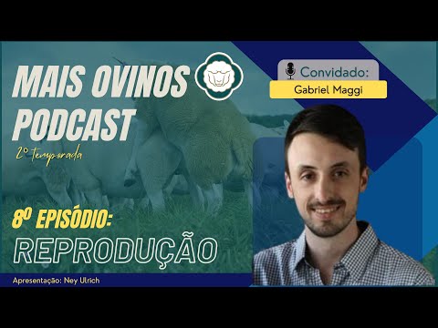 Reprodução Ovina  - Episódio 8 / 2º Temporada