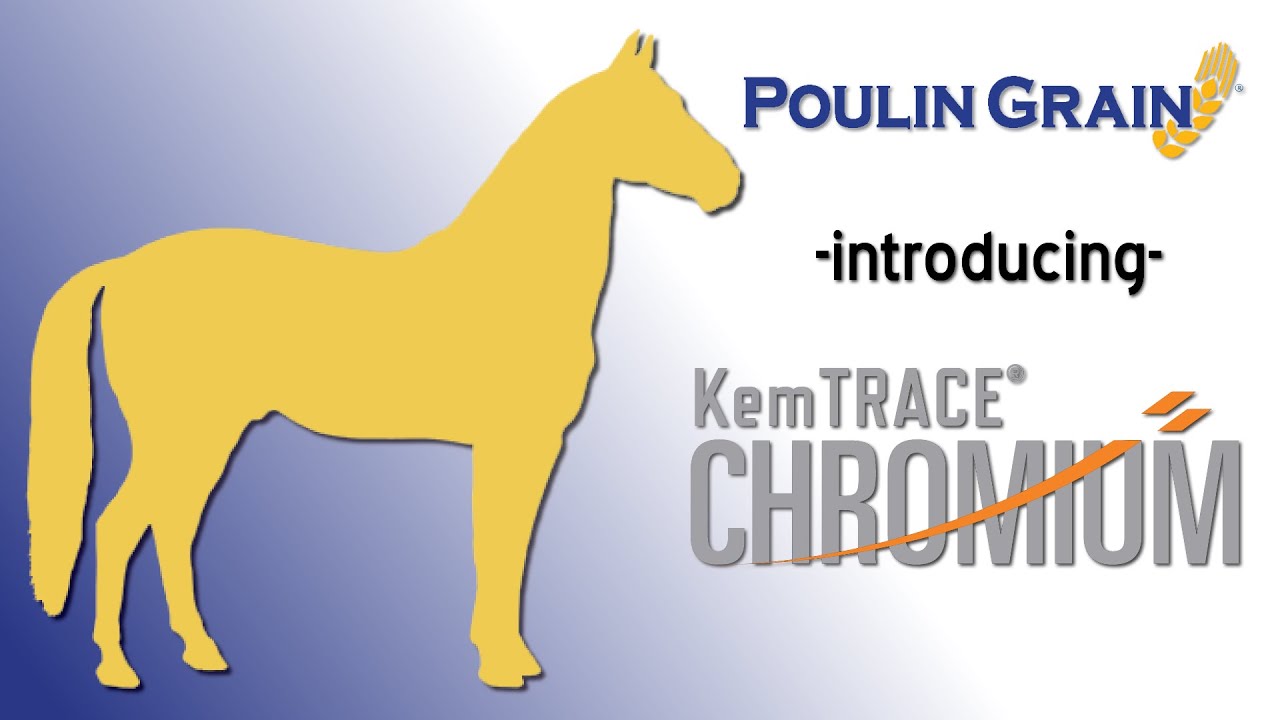 Poulin Grain Technologies Update:  KemTRACE® Chromium For Horses