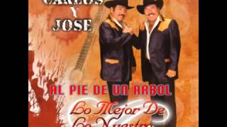 Carlos y Jose - Al Pie de un Arbol (SUSCRIBETE)